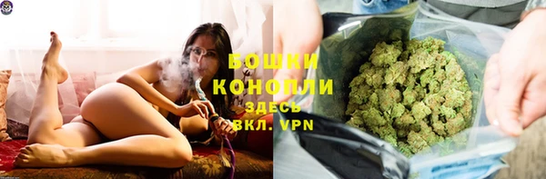 прущие грибы Краснослободск