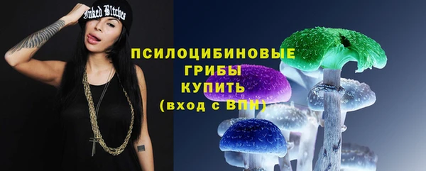 ГАЛЛЮЦИНОГЕННЫЕ ГРИБЫ Кулебаки