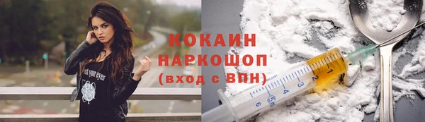 прущие грибы Краснослободск