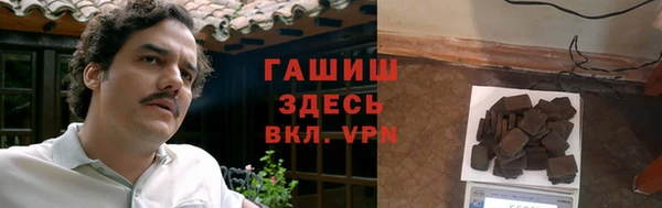 прущие грибы Краснослободск