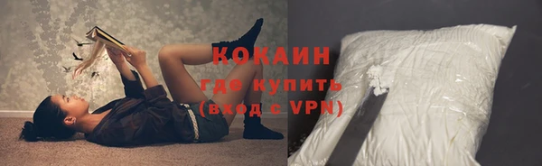 прущие грибы Краснослободск