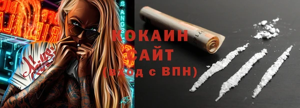 прущие грибы Краснослободск
