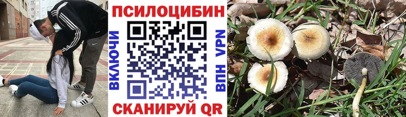 наркотики  Любим  Галлюциногенные грибы Psilocybe 